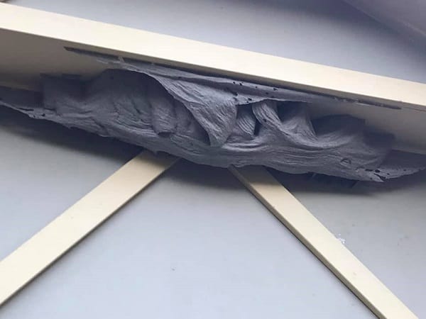 wasp nest on eaves of house in Caboolture
