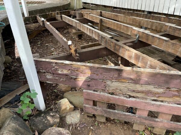 termite damage to pool deck Brisbane northside